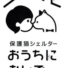 保護猫シェルター各種ボランティアスタッフさん募集中