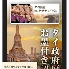 【新品未使用】ＢＩＴＥＬＡ トリプルマカX  マカ3種 ムクナ 配合21,000mg 日本製 活力増強 30日分 亜鉛 クラチャイダム 医師薬剤師のW監修 60粒/30日分/1袋 の画像