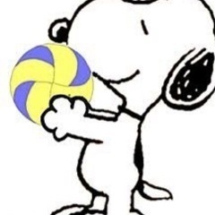 バレーボール友達募集🏐😆✨