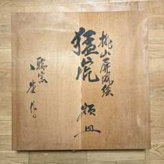 大皿　観賞用
