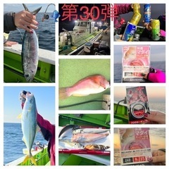 2023年11月第1週❗️手ぶらで『マダイ五目』船釣り楽しも〜🎣...