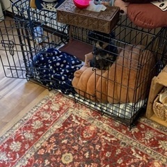 ペット　ケージ【犬用】の画像