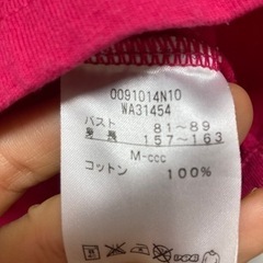 【レディース】ラグビー　カンタベリー（canterbury）Tシャツ＆ポロシャツの画像