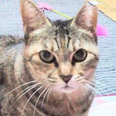 ★甘えた★愛子ちゃん