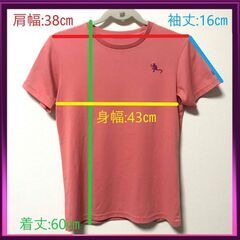 THE NORTH FACE  Tシャツ レディースの画像