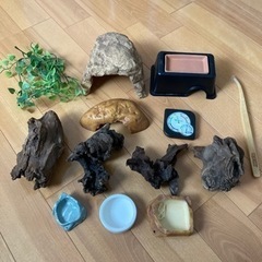 EXO TERRA 爬虫類　飼育セット　エキゾ テラの画像