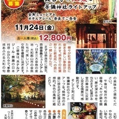 マイライフ新聞社主催、秋の紅葉 日帰りバスツアー参加募集！の画像