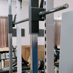 スミスマシン+プレート【引き取り限定】の画像