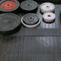 スミスマシン+プレート【引き取り限定】の画像