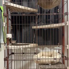 ウッドワンサークルキャット3段タイプ