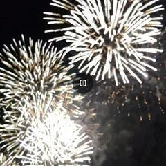 りんくう芸術花火船上で見ませんか🎇