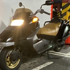 ホンダ　フュージョン🎶