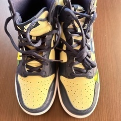 ★NIKE ★新品★ダンクハイ★ウィメンズ27.5センチの画像