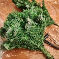 クリスマスツリーの画像