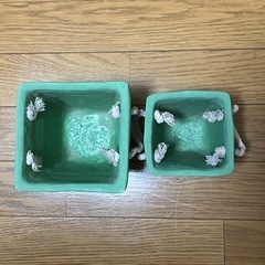 DULTONプランターセットの画像