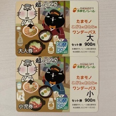 多摩モノレール　ワンデーパス　大人＋小児セット券