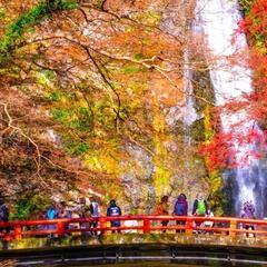 シニアの大阪のエエとこブラリ歩きの集い