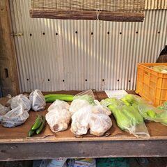 新鮮野菜の無人販売/2の画像