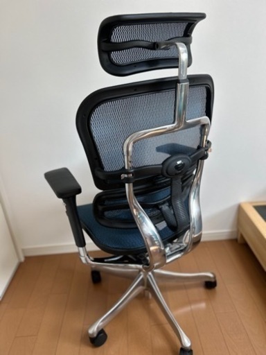 エルゴヒューマンプロ　2021年購入品