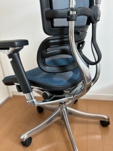 エルゴヒューマンプロ　2021年購入品