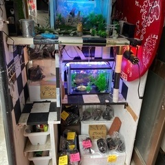 【水槽用品】中古水中ポンプ　SALE
