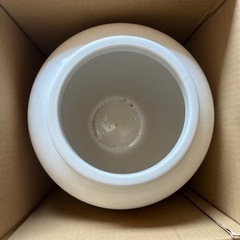 白植木鉢　保管品　