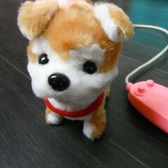 リモコンでおさんぽキャンキャン秋田犬の画像