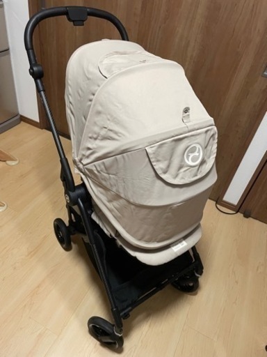 サイベックス　メリオ　カーボン　2022