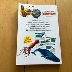 どっちが強い　クジラ VS　ダイオウイカの画像