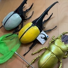 タモ付きの画像