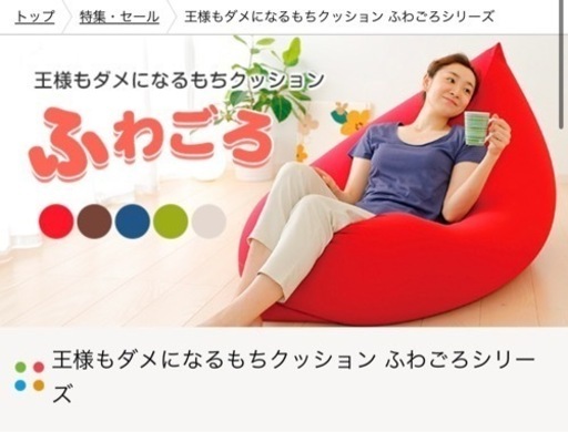 【未開封】王様もダメになるもちクッション(大きなビーズクッション)