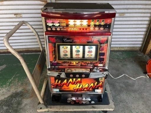 パチスロ　ハナハナ　HANA HANA 30パイ