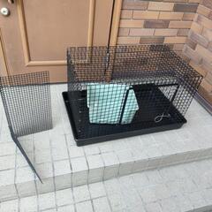 中古フェレットゲージ