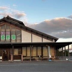 メダカ販売開始しました