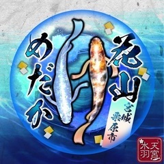 メダカ販売開始しました − 宮城県