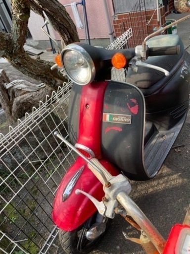 ジョルノ　原付　決まりました