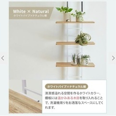 ２個あり　ランドリーラック　洗濯機ラック　突っ張り　おしゃれ棚タイプ　1人暮らし用の画像