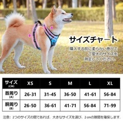 犬用ハーネスMサイズの画像