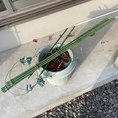鉢植え　リング支柱　支柱