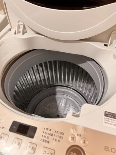 SHARP 全自動洗濯機ES-GE6E