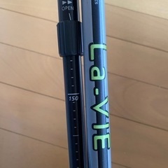 ノルディックポール