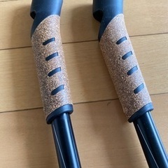 ノルディックポールの画像