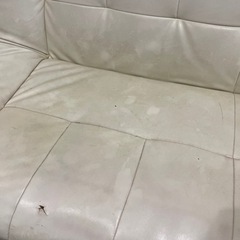 ソファベットの画像