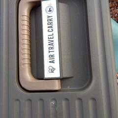 猫　持ち運び　の画像