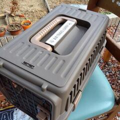 猫　持ち運び　の画像