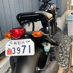 ズーマー ZOOMER 美品 実動 自賠責2.5年付 コミコミ キャブ車 ノーマル カスタムベース車の画像