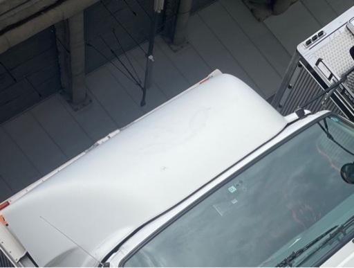 ベストワンファイター  風貌