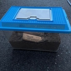 昆虫飼育ケース