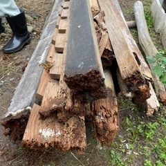 木材　2023.11更新の画像