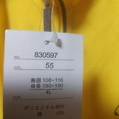 HEADの画像